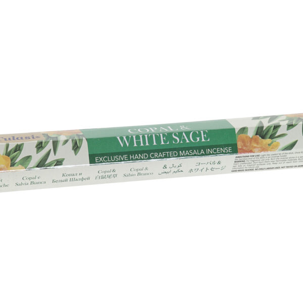 Viiruk Koopal ja Salvei