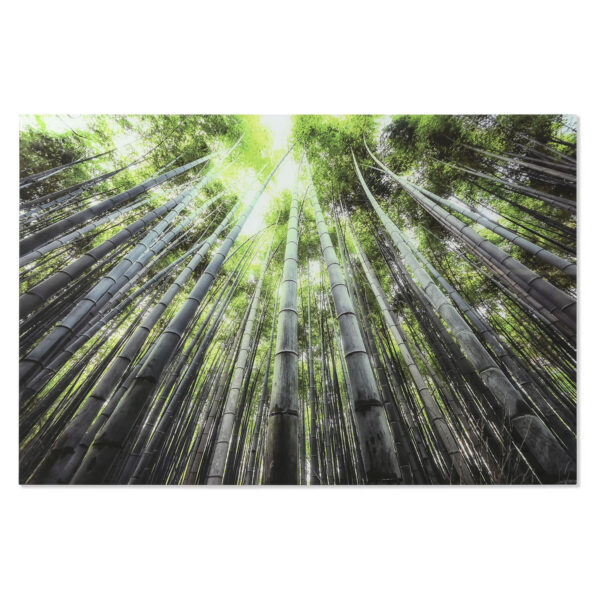 Seinapilt Bosque Verde