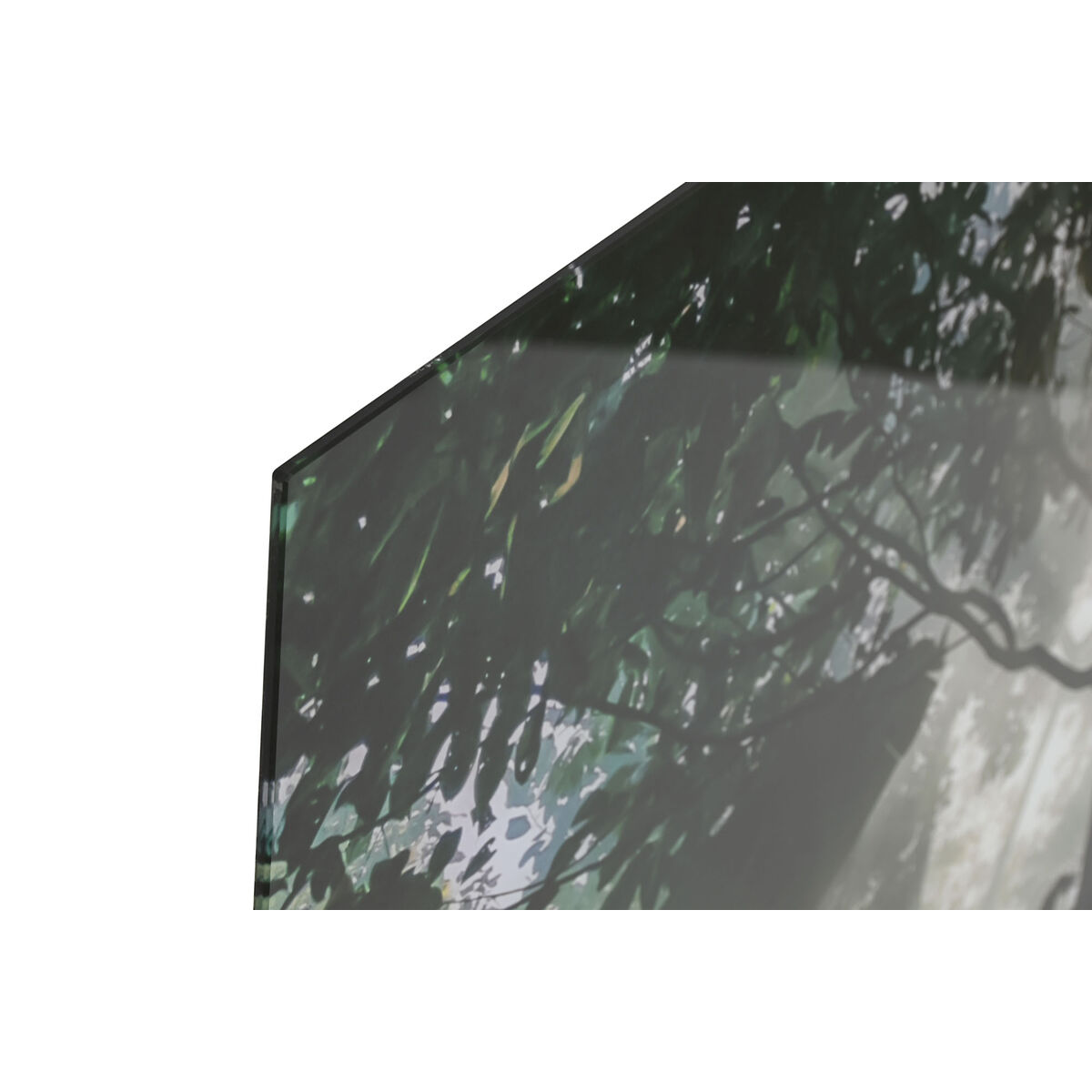 Seinapilt Bosque - Image 3