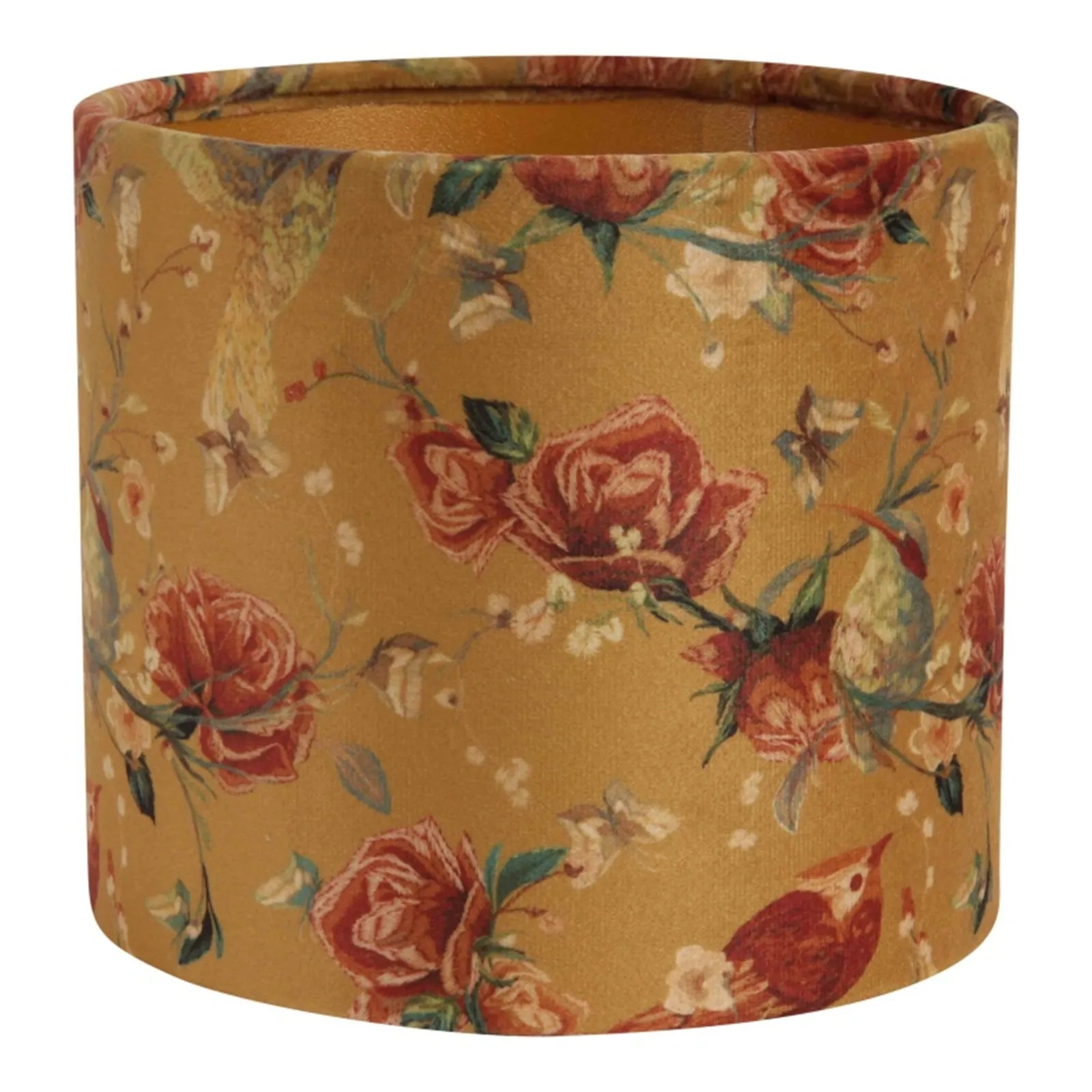 Lambivari Miranda Bird 15