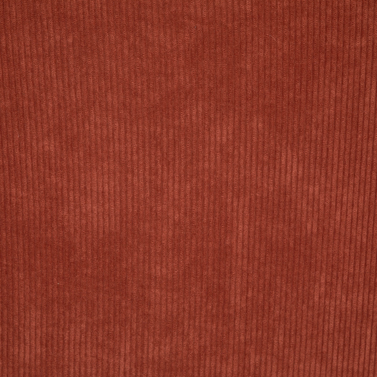 Tool Celese Dark - Image 9