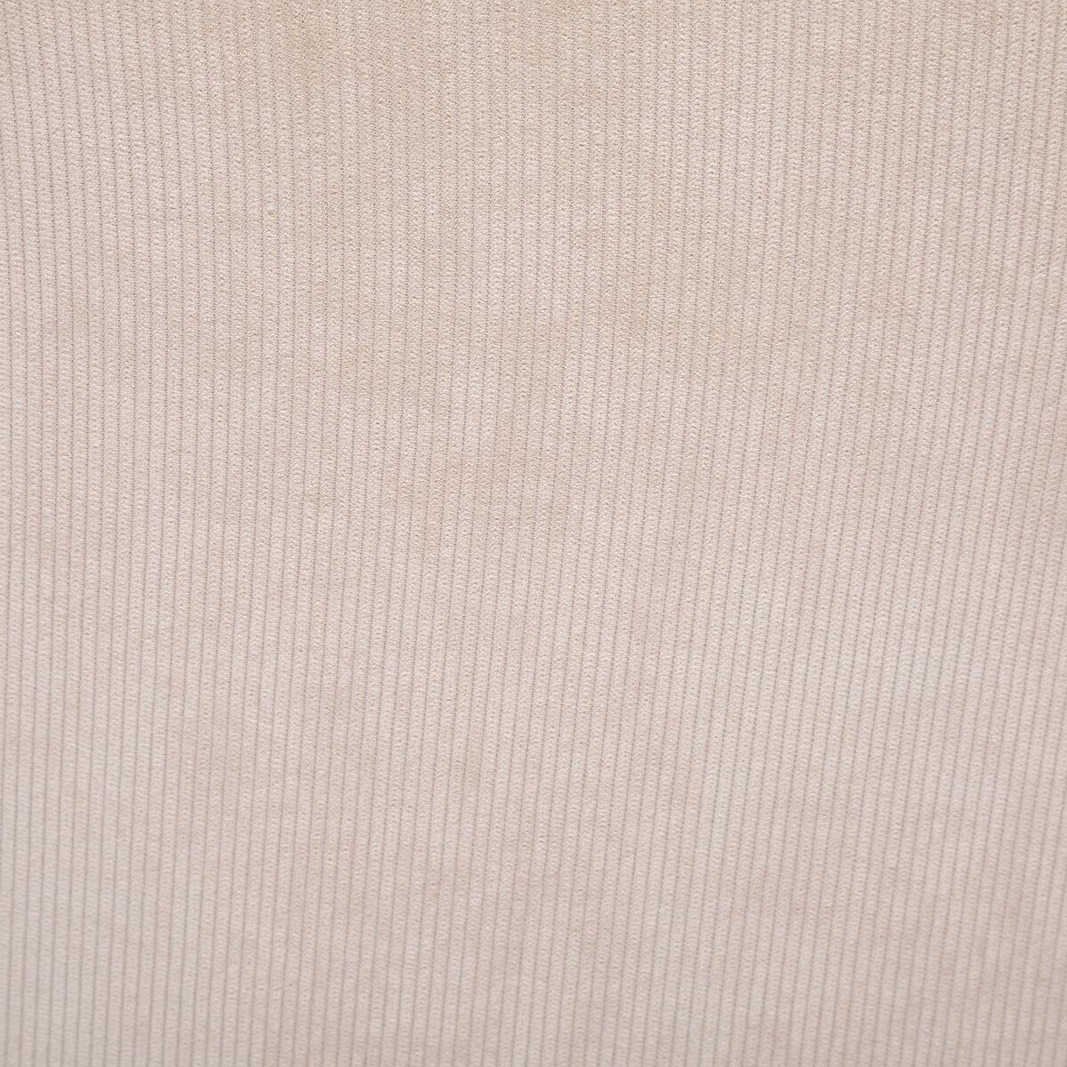 Tool Celese - Image 6