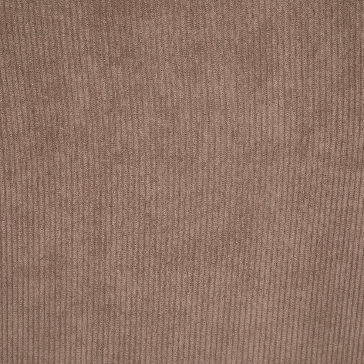 Tool Celese - Image 10