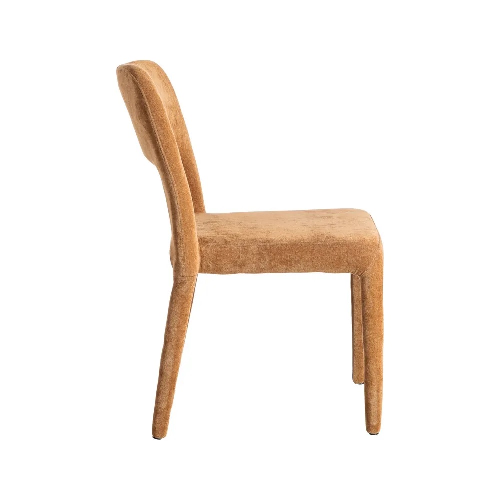 Tool Ranas - Image 11