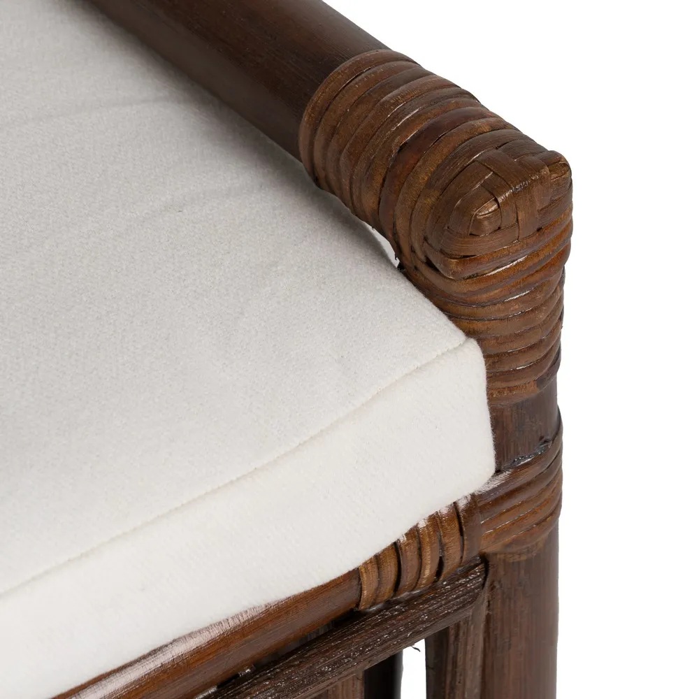 Tool Rocha - Image 6