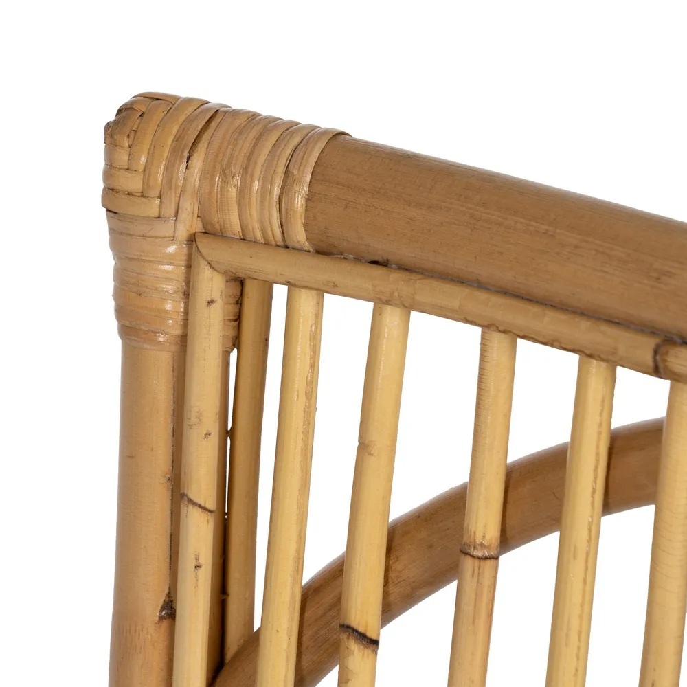 Tool Rocha - Image 16