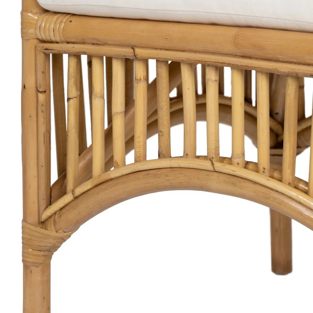 Tool Rocha - Image 15