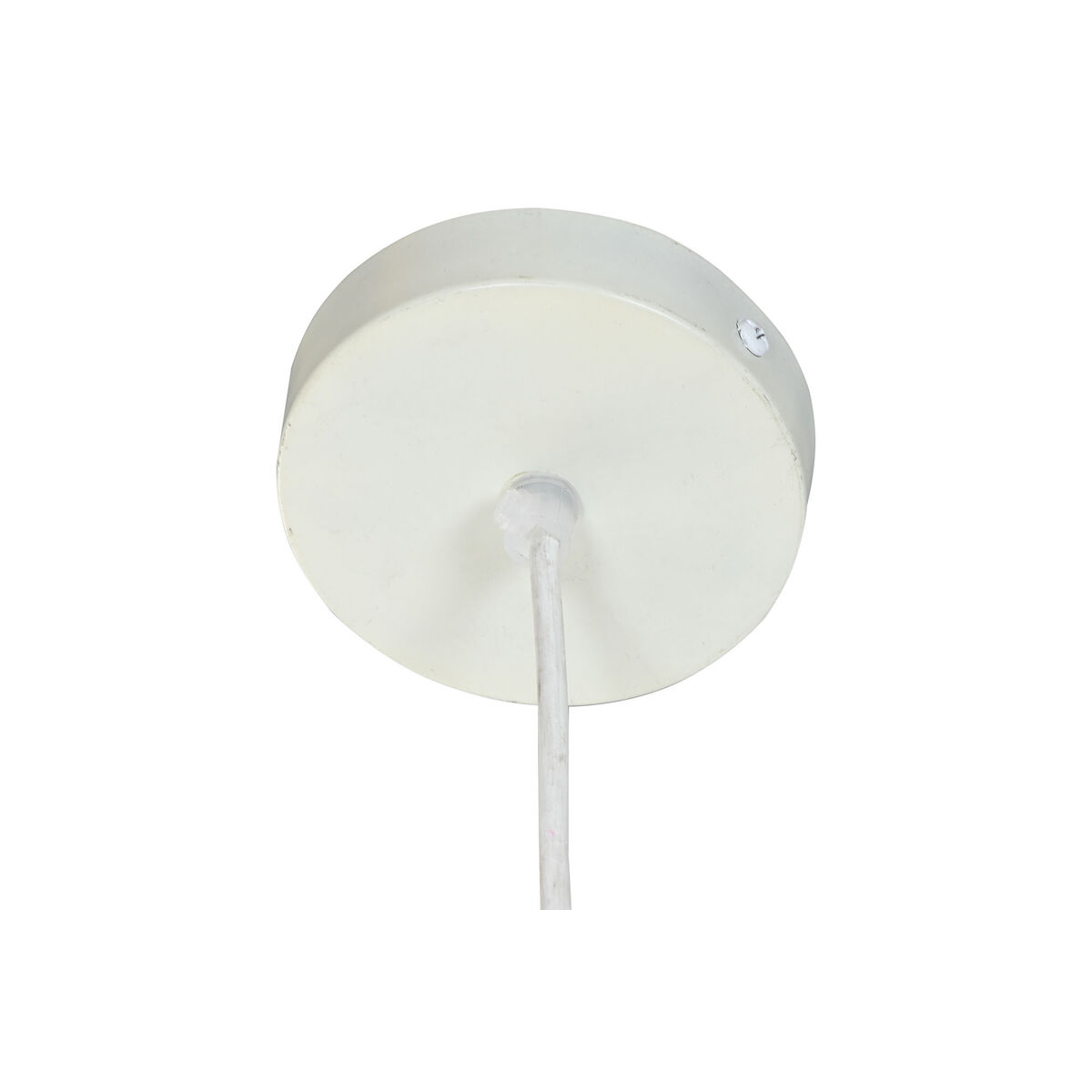 Laevalgusti Nuda - Image 5