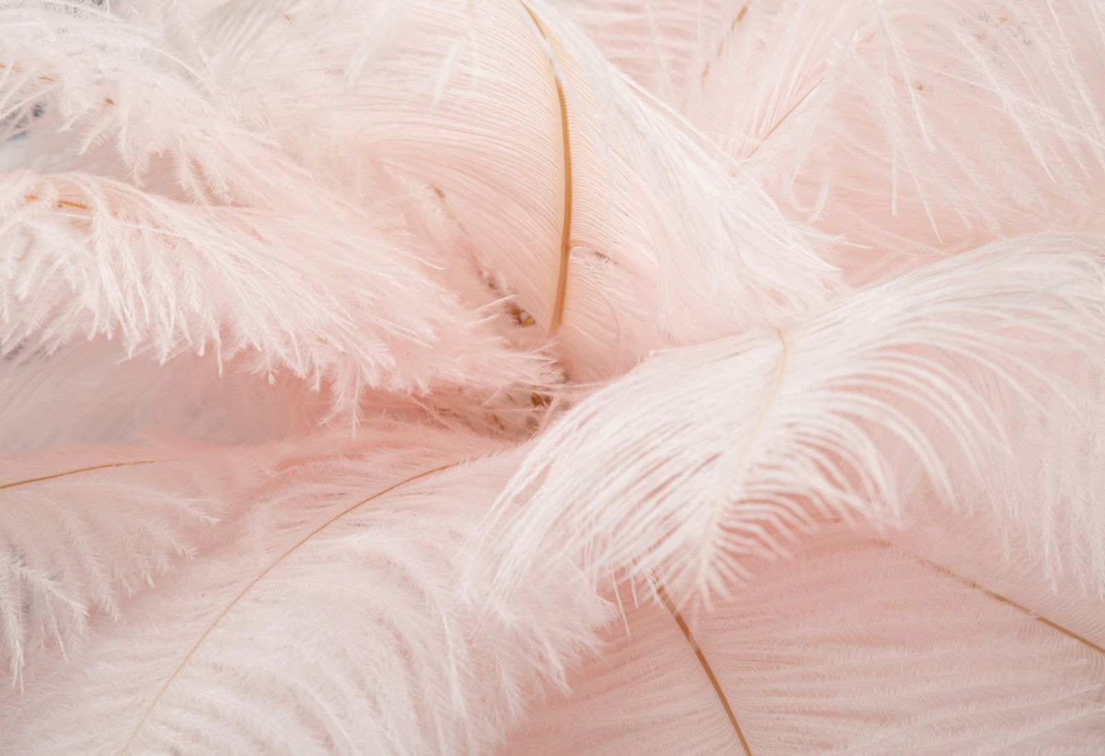 Lauavalgusti Feather Rosa - Image 6