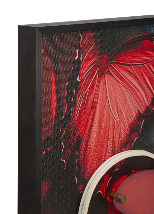 Seinapilt Butterflies LED - Image 7