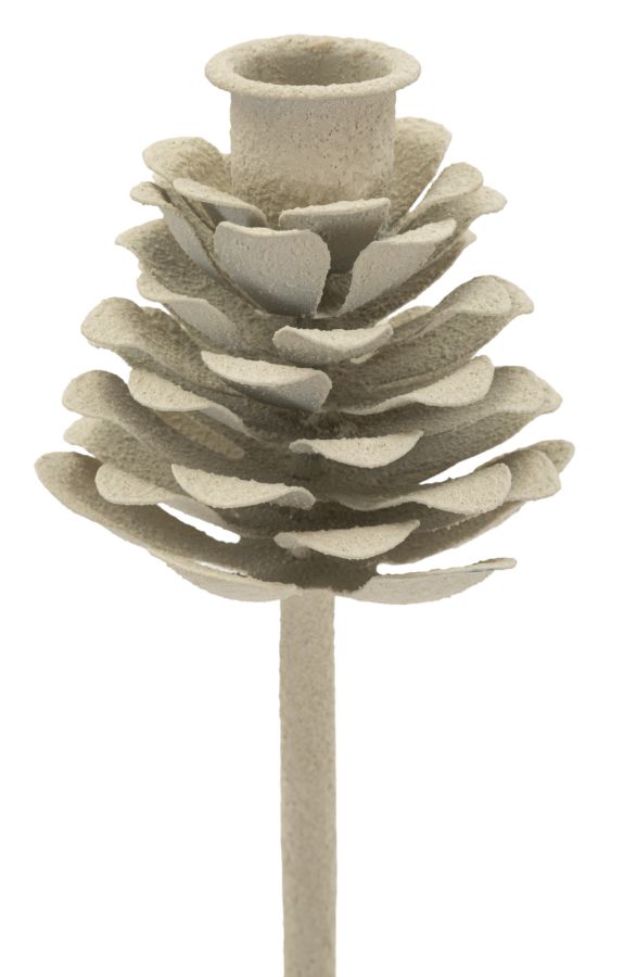 Küünlajalg Pine - Image 2